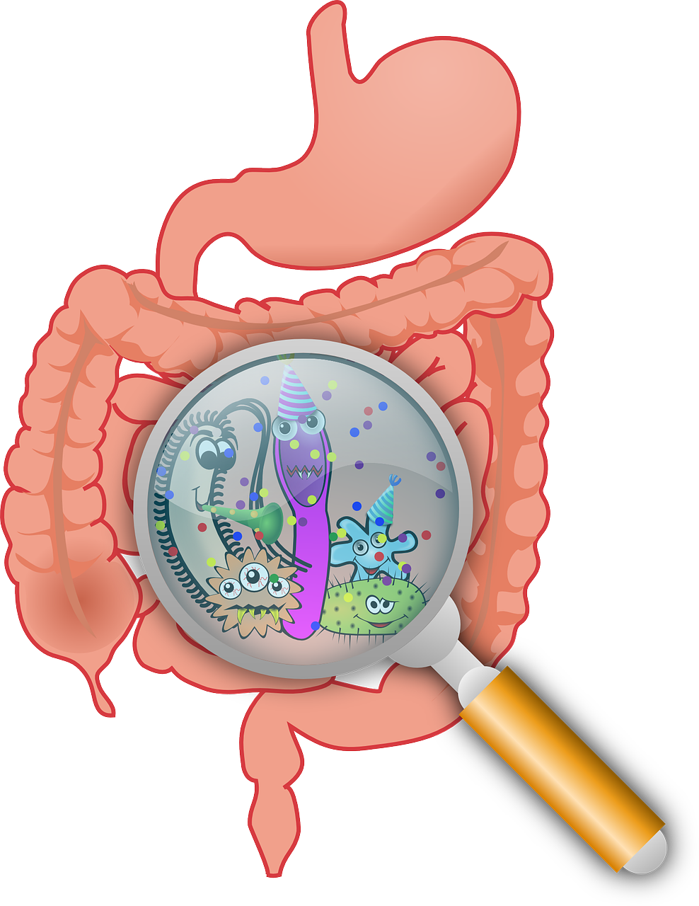 SynoGut